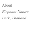 About 
Elephant Nature Park, Thailand
